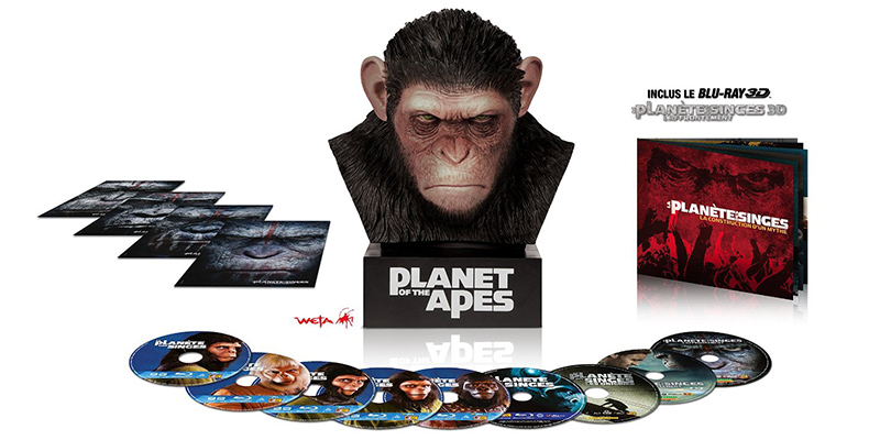 collector-buste-cesar-la-planete-des-singes