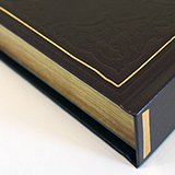 vignette-arriere-livre-the-order-1886