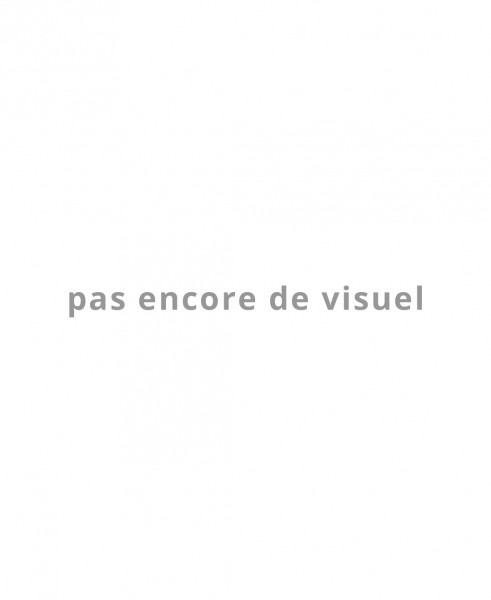 totaku-pas-encore-de-visuel