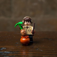 06 - Neville Longbottom (Neville Londubat)