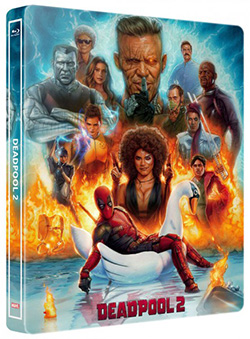 preco-steelbbok-deadpool-2-shady77