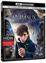 Les Animaux Fantastiques – Blu-ray 4K Ultra HD