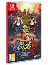 Double Dragon Gaiden : Rise of the Dragons - version physique